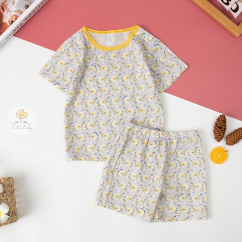 Bộ cotton giấy Hàn quốc có tay size 1/5 tuổi