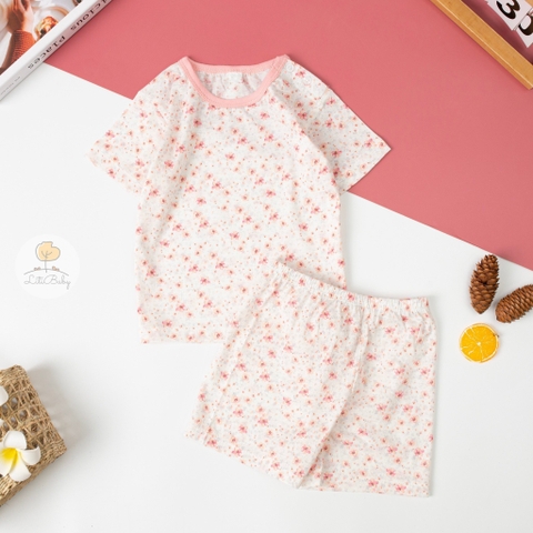 Bộ cotton giấy Hàn quốc có tay size 1/5 tuổi