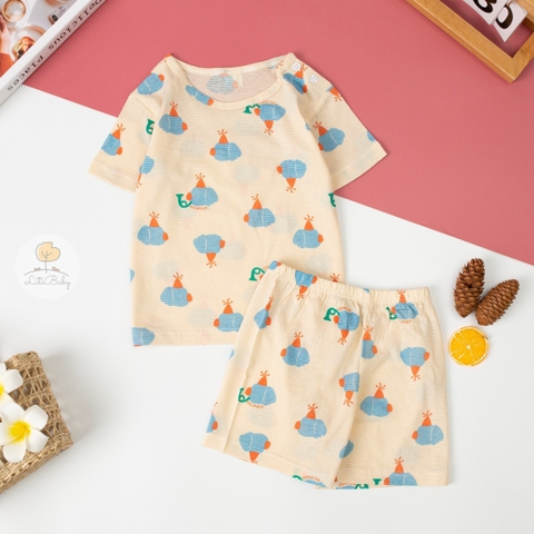 Bộ cotton giấy Hàn quốc có tay size 1/5 tuổi