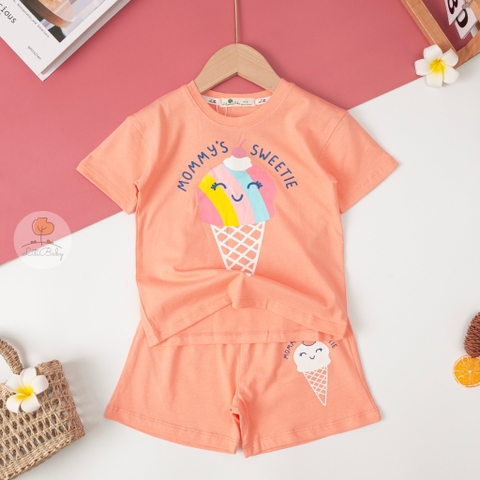 Bộ quần áo cotton TE BG ngắn tay 2 chiều 2/7