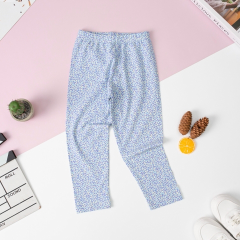 Quần legging thu đông BG 3/8 x23