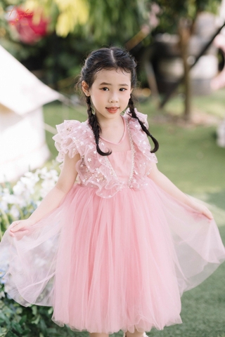 Áo váy đầm đẹp trai Công chúa làm tất cả trang phục thời tiết - Trung Quốc  Trang phục dành cho chó y áo sơ mi cho chó giá
