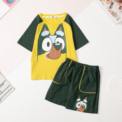 Bộ BT cotton ngắn tay phối 2/10 x24