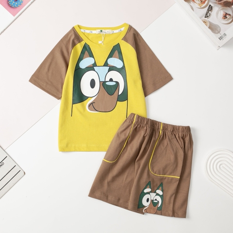 Bộ BT cotton ngắn tay phối 2/10 x24