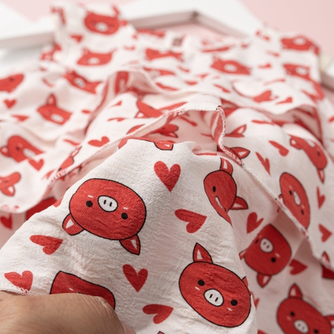 Bộ quần áo cotton TE BG đũi sát nách quần thô 2/12 x24