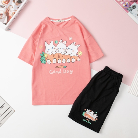 H427 Bộ cotton ngắn tay Bé gái size đại 8/14T