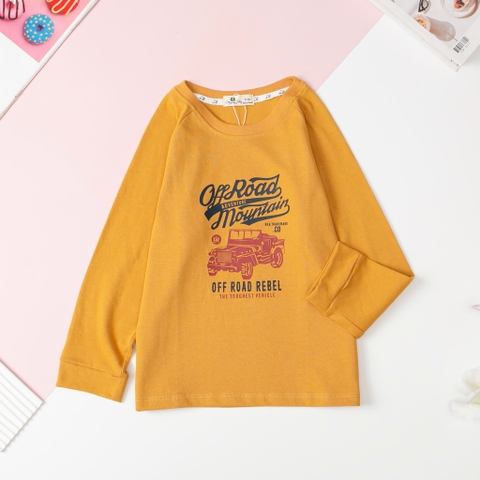 Áo Bé trai cotton thu đông in hình size 10/16T x24