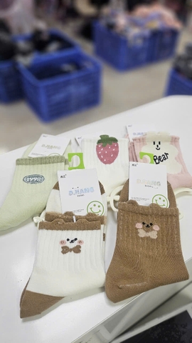 Vớ cotton - T01-Set 3