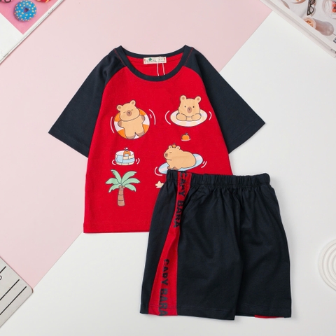 Bộ Bé trai cotton ngắn tay giáp lăng, hình spiderman, labubu, sonic size 2/10 tuổi