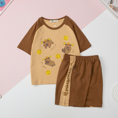 Bộ Bé trai cotton ngắn tay giáp lăng, hình spiderman, labubu, sonic size 2/10 tuổi