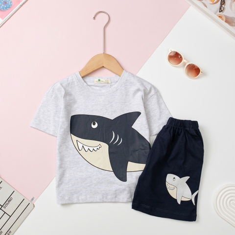 H479 Bộ cotton BT khủng long gai 2/10