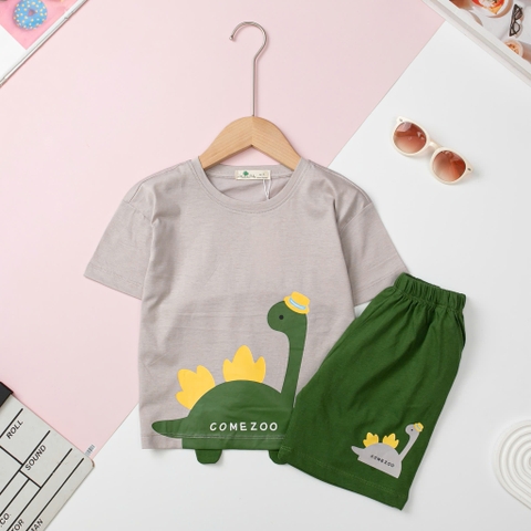 H479 Bộ cotton BT khủng long gai 2/10