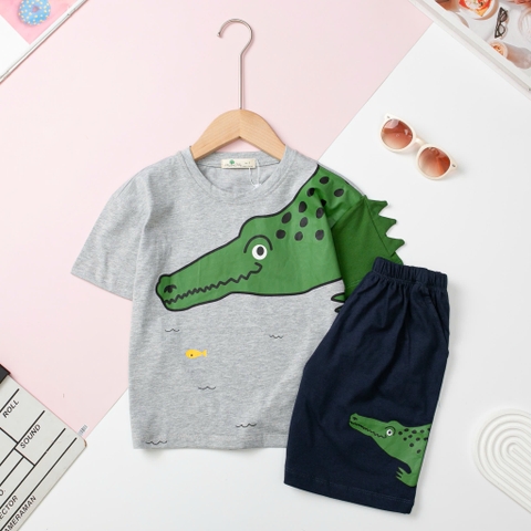 H479 Bộ cotton BT khủng long gai 2/10
