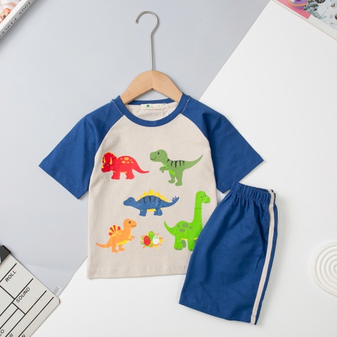 H508 Bộ BT cotton ngắn tay giáp lăng 2/10