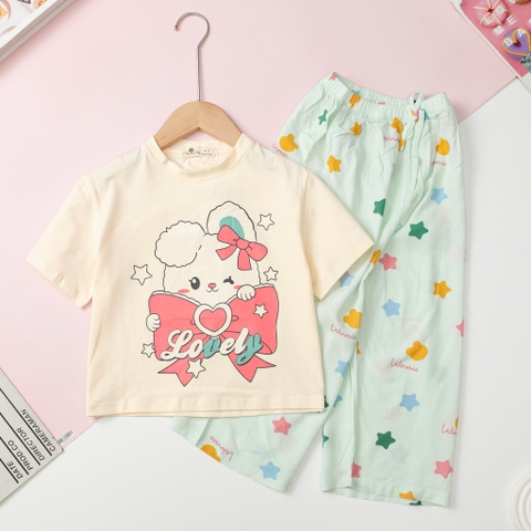 Bộ BG áo cotton quần lanh 4/14