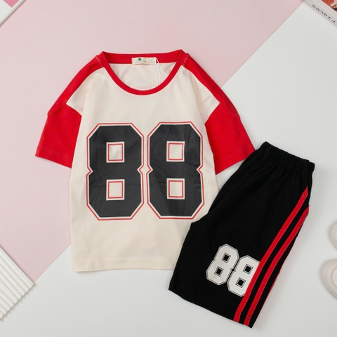 H535 Bộ cotton BT in 88, chạy lé 4/16