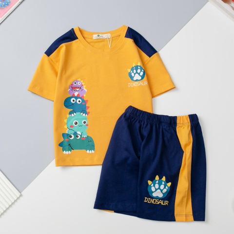 H508Bộ cotton trẻ em-bé trai B006_ 2/10