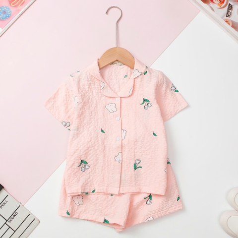 Bộ cotton trẻ em - BG G002 4/14 Pijama đũi