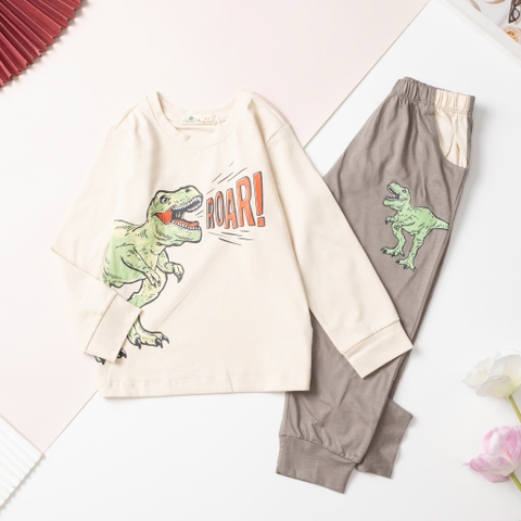 Bộ cotton trẻ em - bé trai B001 4/14 H579