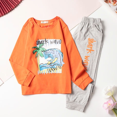 T411 Bộ cotton thu đông BT túi hộp 8/16 H582