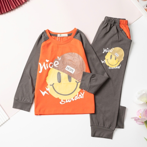 Bộ cotton trẻ em - bé trai 4/12 H585