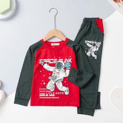 Bộ cotton trẻ em - bé trai 4/12 H585