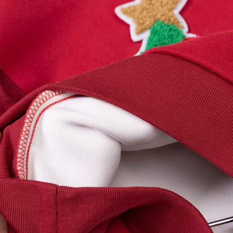 Áo thời trang trẻ em - ĐA06 2/12 Nỉ Noel