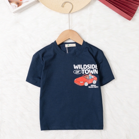 Áo cotton trẻ em - A02 2/12 TS18