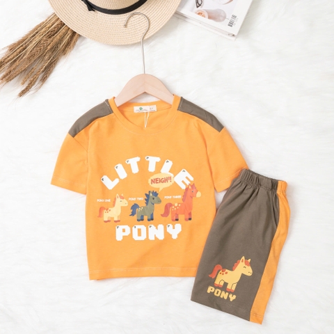 Bộ cotton trẻ em - bé trai B003 2/10-TS12