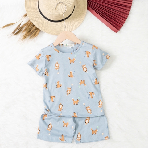 Bộ cotton trẻ em - bé trai B004 2/10 TS20