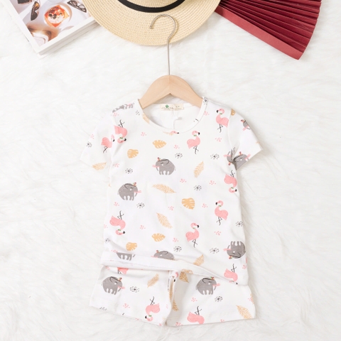 Bộ cotton trẻ em - bé trai B004 2/10 TS20