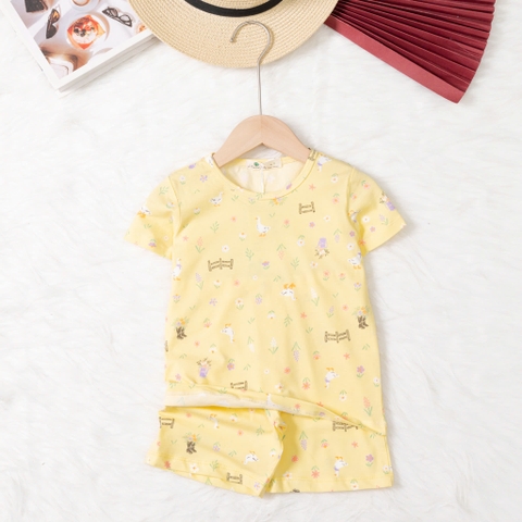 Bộ cotton trẻ em - bé trai B004 2/10 TS20