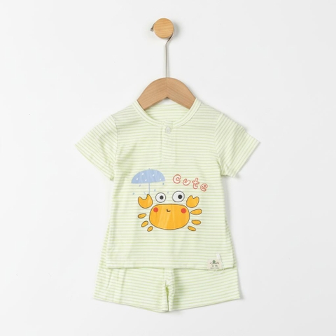 Bộ cotton trẻ em - bé trai B005 9/36-TS03