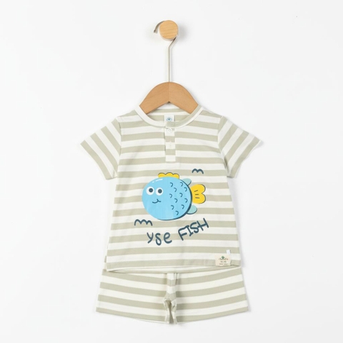 Bộ cotton trẻ em - bé trai B005 9/36-TS03