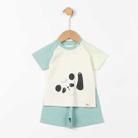 Bộ cotton trẻ em - bé trai B005 9/36-TS03