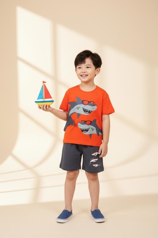 Bộ cotton trẻ em - bé trai B006 2/10