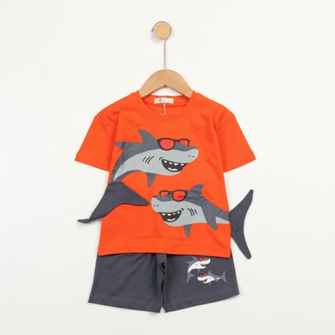 Bộ cotton trẻ em - bé trai B006 2/10