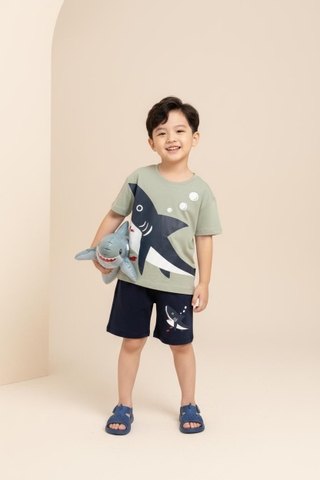 Bộ cotton trẻ em - bé trai B006 2/10