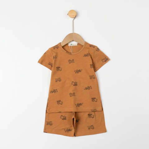 Bộ cotton trẻ em - bé trai B004 2/10 TS20