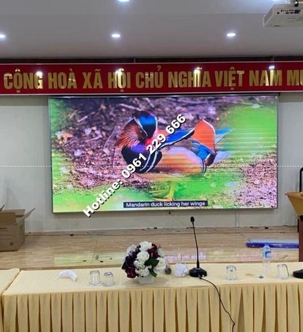 Sản xuất màn hình led