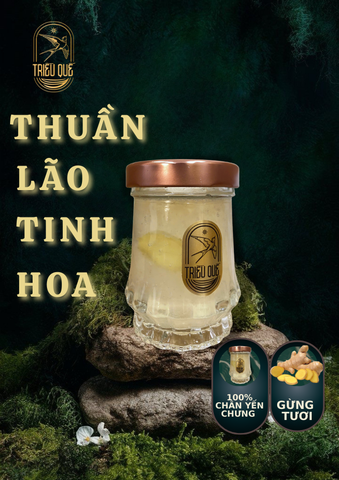 [100%] GỪNG CÀNG GIÀ CÀNG CAY | BẠCH NGỌC CHÂN YẾN -Vị Gừng Tươi (100ml)