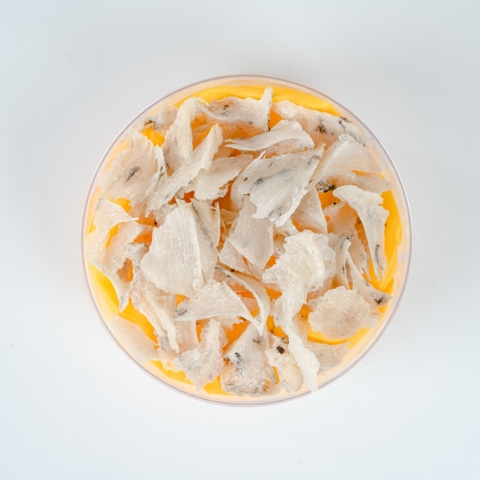 CHÂN YẾN THÔ (Còn Lông)