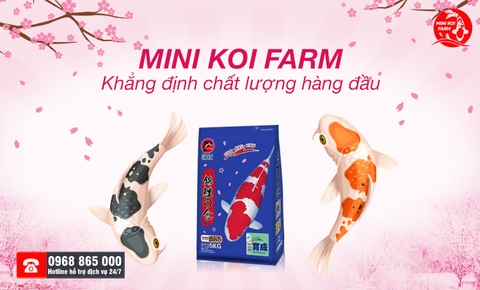 minikoifarm