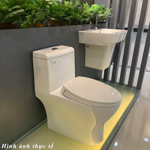 Bàn cầu một khối Viglacera V45(Tặng xịt VG826)