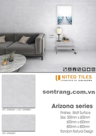 Gạch ốp Eurotile Viglacera: Arizona AZ1-GM3601