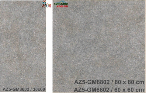 Gạch ốp 30x60 Eurotile Viglacera: Arizona AZ5-GM3602