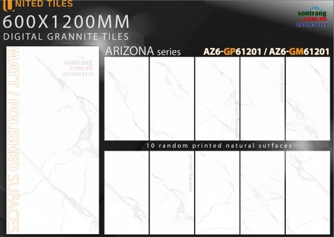 Gạch ốp lát 60x120 Arizona VGC-AZ6-GP61201 Men Bóng