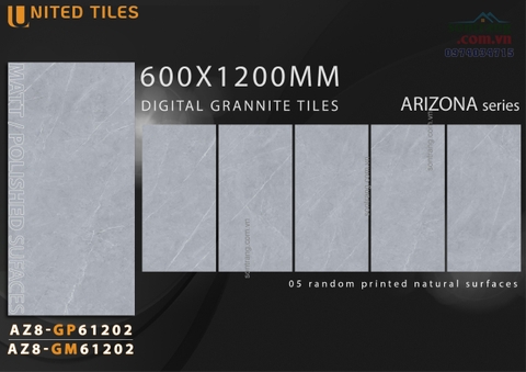 Gạch ốp lát 60x120 Arizona VGC-AZ8-GP61202 Men Bóng