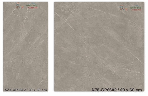 Gạch lát 60x60 men bóng Arizona AZ8-GP6602