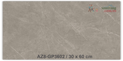 Gạch ốp 30x60 men bóng Arizona AZ8-GP3602